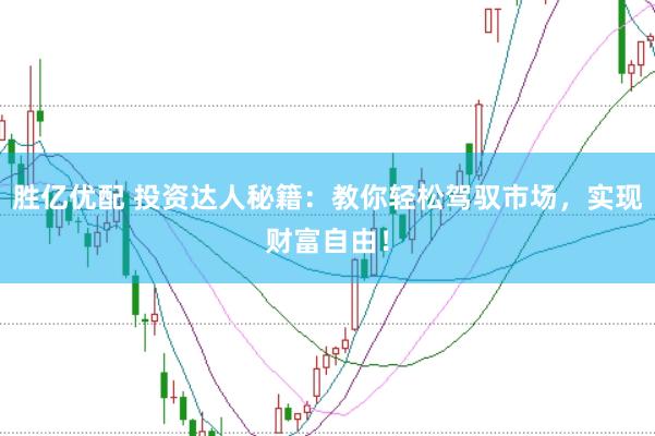 胜亿优配 投资达人秘籍：教你轻松驾驭市场，实现财富自由！