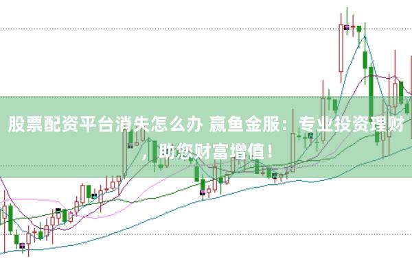 股票配资平台消失怎么办 赢鱼金服：专业投资理财，助您财富增值！