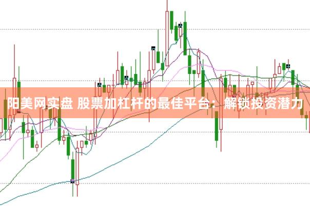 阳美网实盘 股票加杠杆的最佳平台：解锁投资潜力