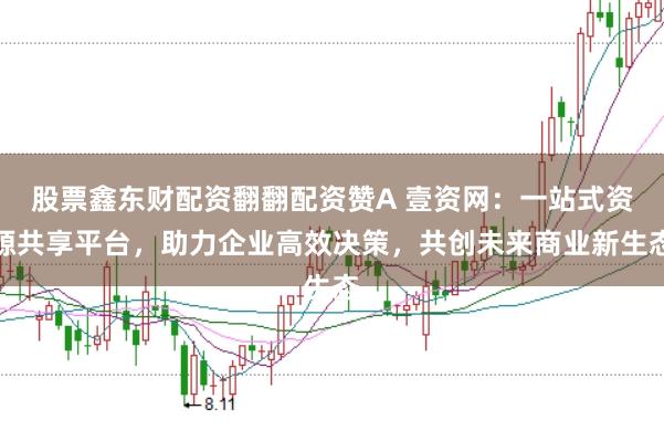 股票鑫东财配资翻翻配资赞A 壹资网：一站式资源共享平台，助力企业高效决策，共创未来商业新生态