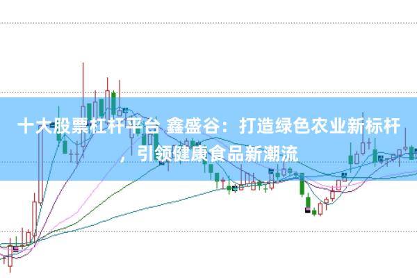 十大股票杠杆平台 鑫盛谷：打造绿色农业新标杆，引领健康食品新潮流