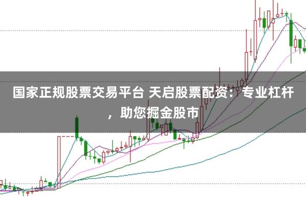 国家正规股票交易平台 天启股票配资:专业杠杆,助您掘金股市