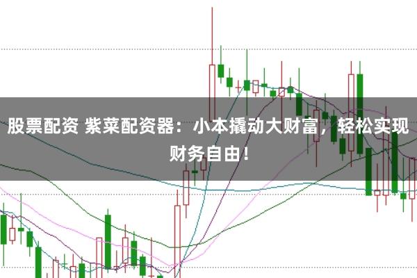 股票配资 紫菜配资器：小本撬动大财富，轻松实现财务自由！