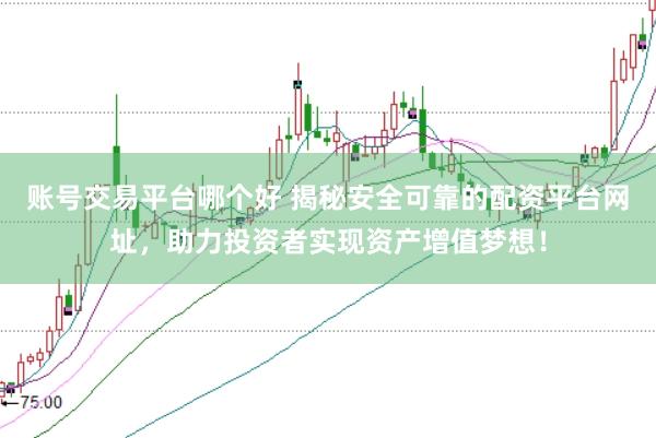 账号交易平台哪个好 揭秘安全可靠的配资平台网址，助力投资者实现资产增值梦想！