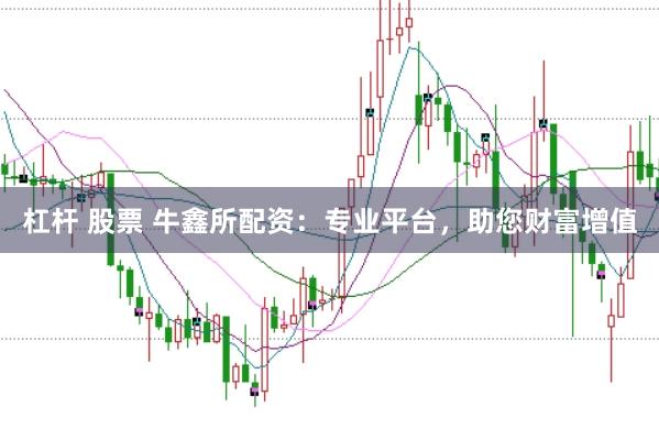 杠杆 股票 牛鑫所配资：专业平台，助您财富增值