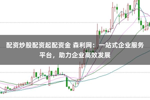 配资炒股配资起配资金 森利网:一站式企业服务平台,助力企业高效发展